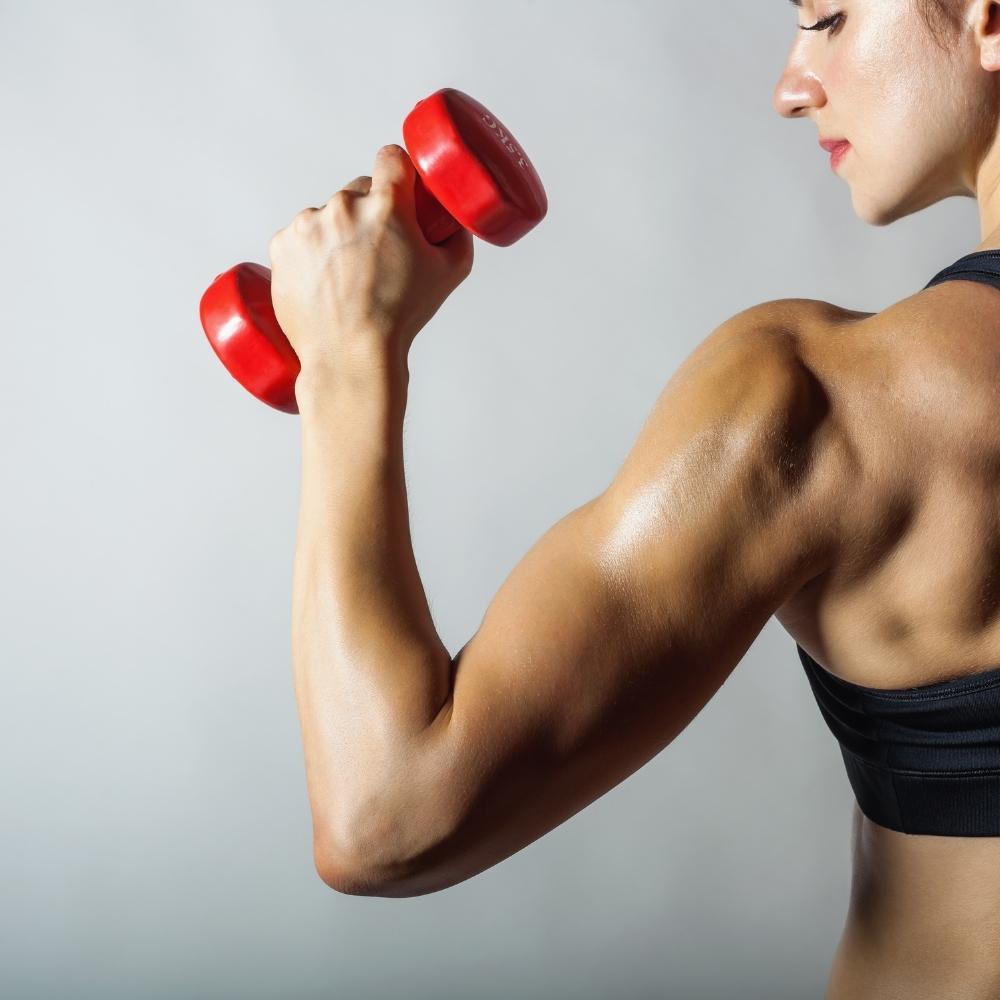 Sviluppo massa magra
